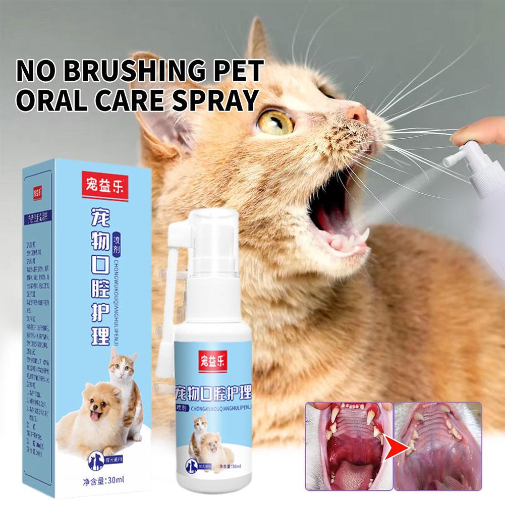 Pet Oral Desodorizar Spray, Re - Teeth Whitening Foam avaliação e preço