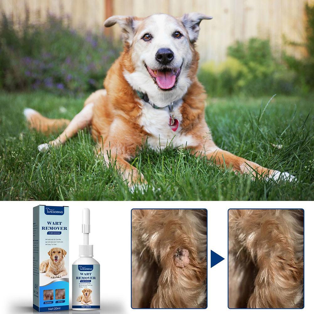 Removedor de Verrugas para Cãe - Teeth Whitening Foam avaliação e preço