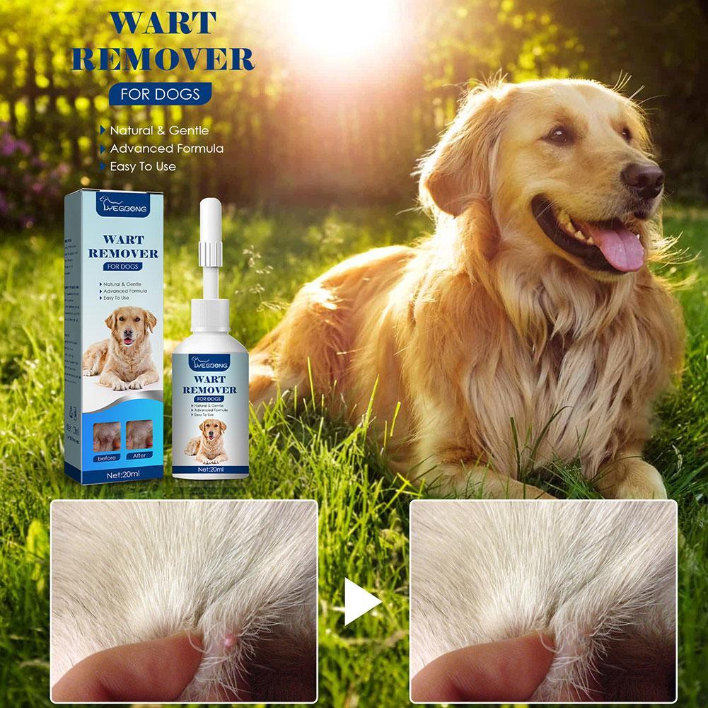 Removedor de Verrugas para Cãe - Teeth Whitening Foam avaliação e preço